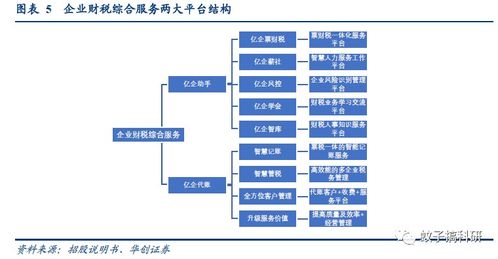 新股丨稅友股份 專注財稅信息化，信息系統集成服務助穩健成長